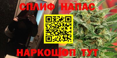 МДПВ Дубна