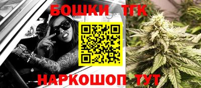 МДПВ Дубна