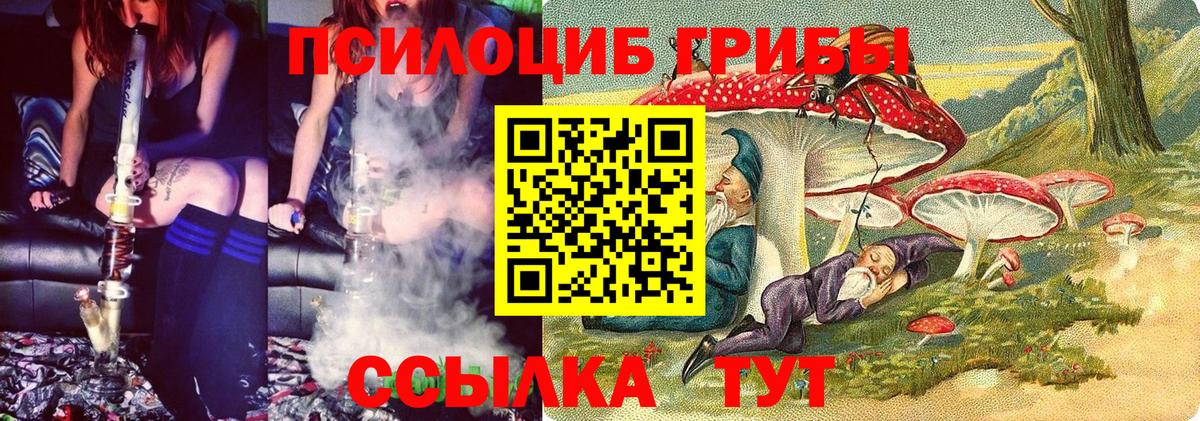 Менделеевск  Галлюциногенные грибы Psilocybe  что такое наркотик  Вход с VPN 