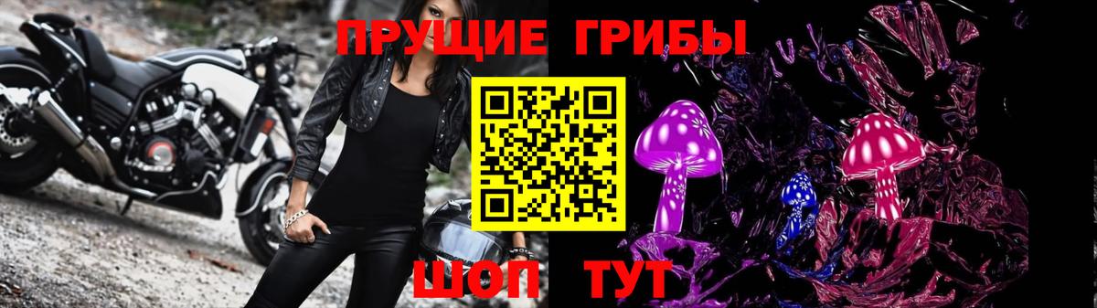Псилоцибиновые грибы мицелий Менделеевск
